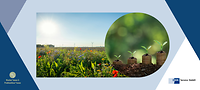 Sustainable Finance